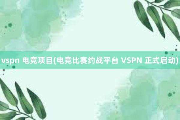 vspn 电竞项目(电竞比赛约战平台 VSPN 正式启动)