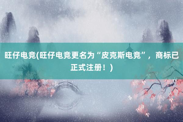 旺仔电竞(旺仔电竞更名为“皮克斯电竞”，商标已正式注册！)