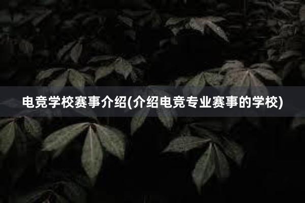 电竞学校赛事介绍(介绍电竞专业赛事的学校)