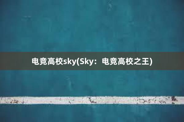 电竞高校sky(Sky：电竞高校之王)