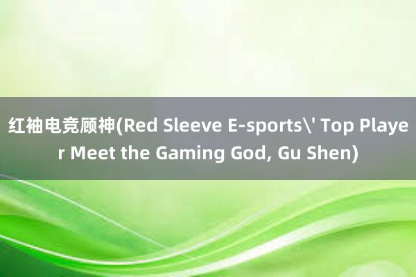 红袖电竞顾神(Red Sleeve E-sports' Top Player Meet the Gaming God， Gu Shen)