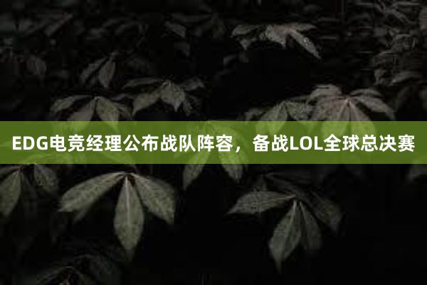 EDG电竞经理公布战队阵容，备战LOL全球总决赛