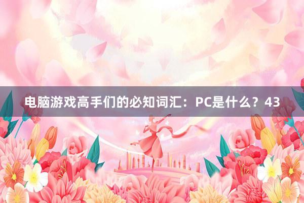 电脑游戏高手们的必知词汇：PC是什么？43