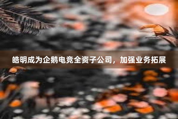 皓明成为企鹅电竞全资子公司，加强业务拓展