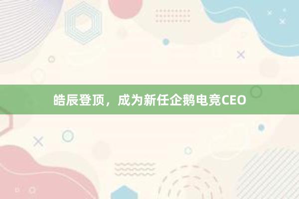 皓辰登顶，成为新任企鹅电竞CEO