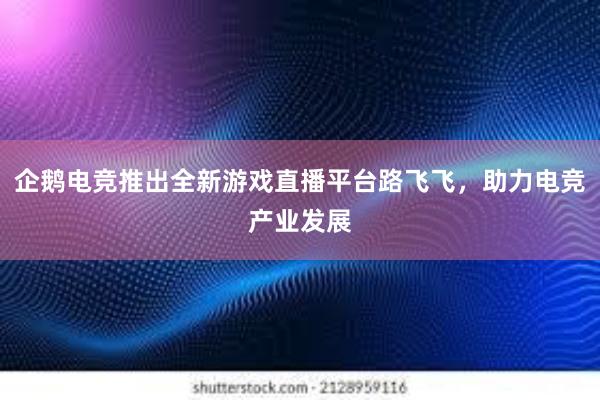 企鹅电竞推出全新游戏直播平台路飞飞，助力电竞产业发展