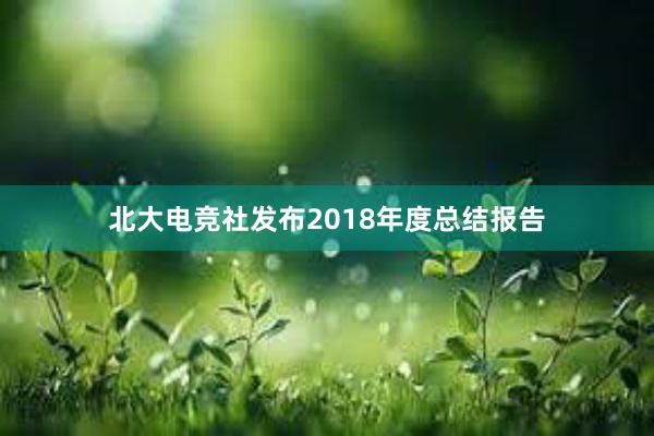 北大电竞社发布2018年度总结报告