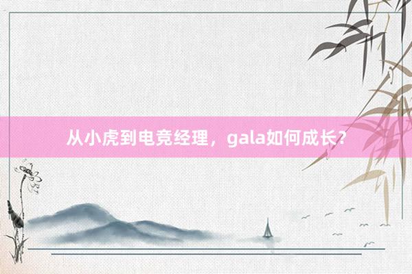 从小虎到电竞经理，gala如何成长？