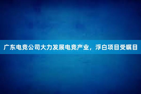 广东电竞公司大力发展电竞产业，浮白项目受瞩目