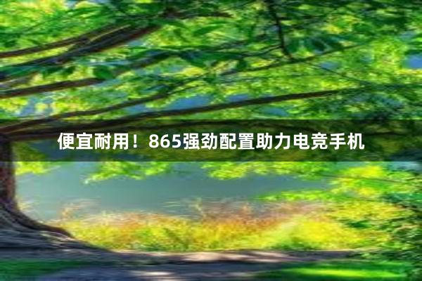 便宜耐用！865强劲配置助力电竞手机