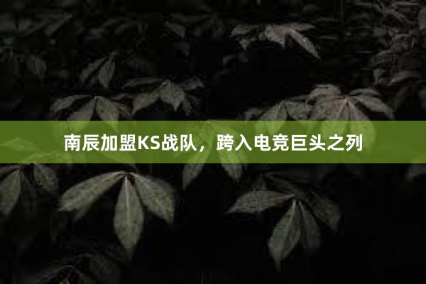 南辰加盟KS战队，跨入电竞巨头之列