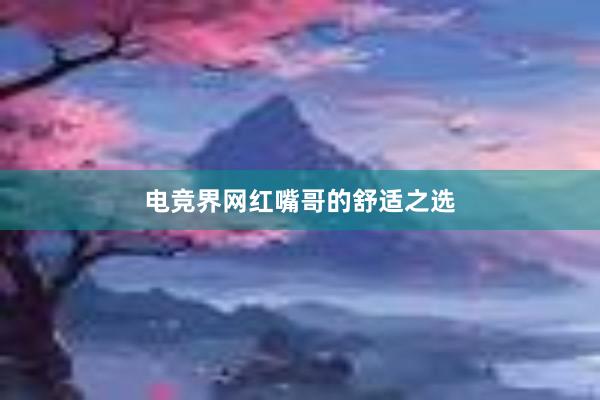 电竞界网红嘴哥的舒适之选