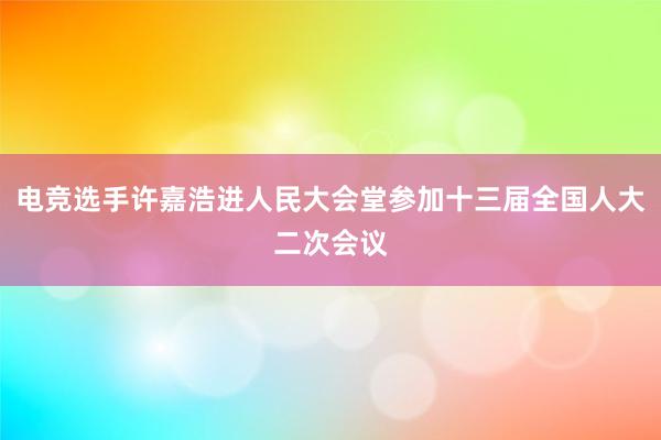 电竞选手许嘉浩进人民大会堂参加十三届全国人大二次会议