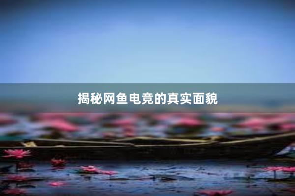 揭秘网鱼电竞的真实面貌