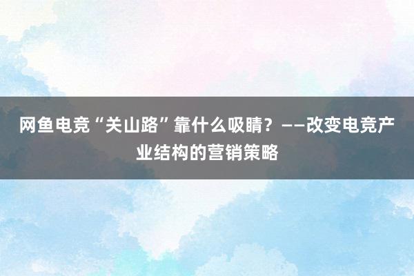 网鱼电竞“关山路”靠什么吸睛？——改变电竞产业结构的营销策略