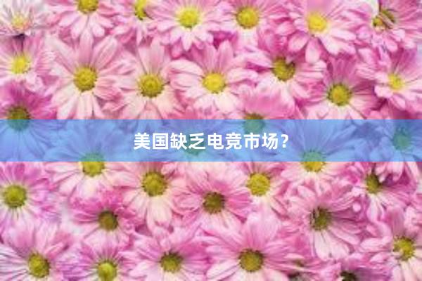 美国缺乏电竞市场？