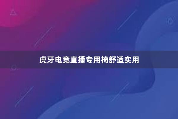 虎牙电竞直播专用椅舒适实用